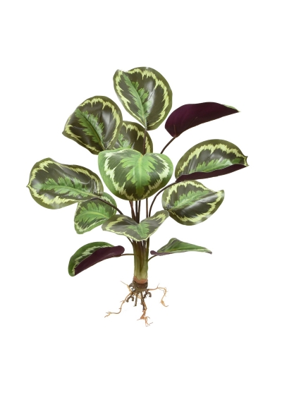Calathea Ornata Bouquet Artificiale 45cm