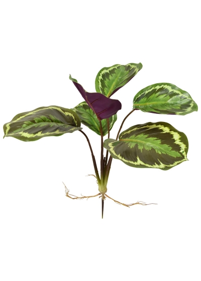 Calathea Ornata Pianta Artificiale 25cm