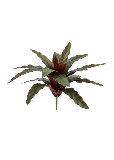 Calathea Pianta Artificiale 30cm Verde/Rosso