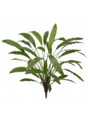 Calathea Pianta Artificiale 75cm Verde