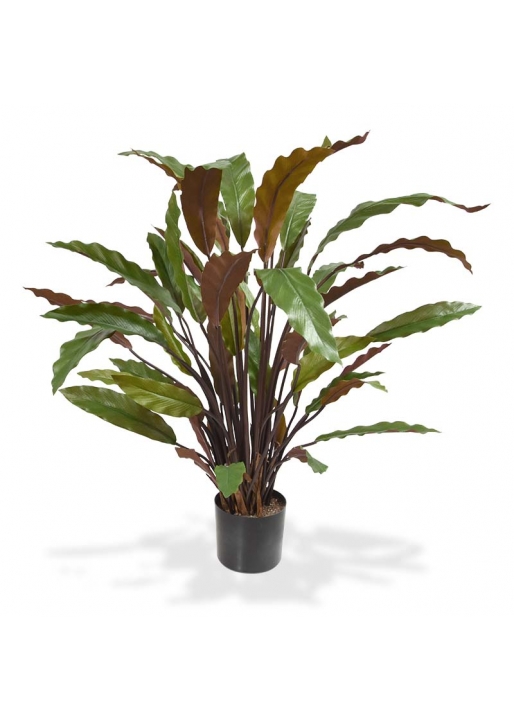 Calathea Red Pianta Artificiale 60cm