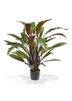 Calathea Red Pianta Artificiale 60cm