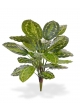 Calathea Roseopicta Bouquet Artificiale 65cm