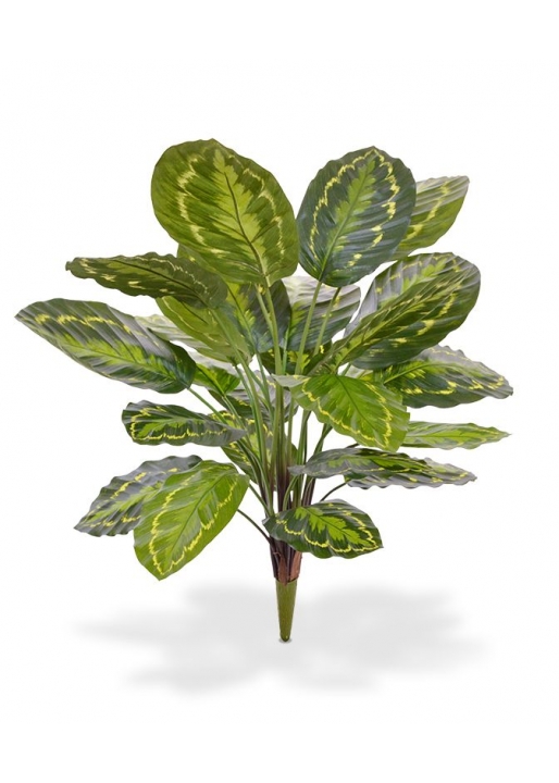 Calathea Roseopicta Bouquet Artificiale 65cm