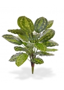 Calathea Roseopicta Bouquet Artificiale 65cm