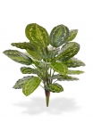 Calathea Roseopicta Bouquet Artificiale 65cm