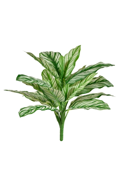 Calathea Whitestar RT Pianta Artificiale 35cm