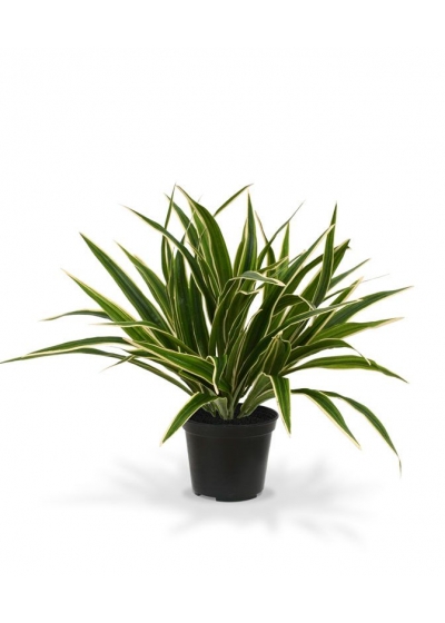 Chlorophytum S Pianta Artificiale 30cm in vaso 10cm
