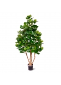 Clusia Deluxe Albero Artificiale 120cm