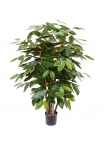 Coffea Arabica Pianta Artificiale 100cm