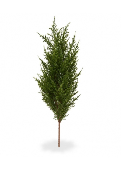 Conifera Bouquet 56 cm