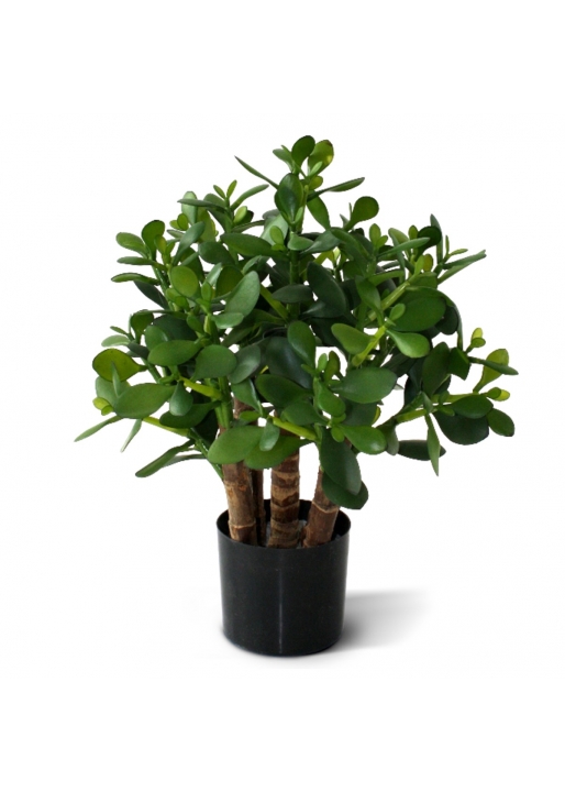 Crassula Pianta grassa Artificiale 40cm