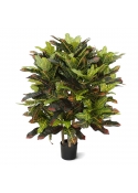 Croton Artificiale Deluxe XL 90cm