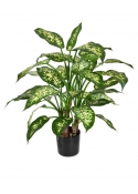 Dieffenbachia Deluxe Pianta Artificiale 60cm