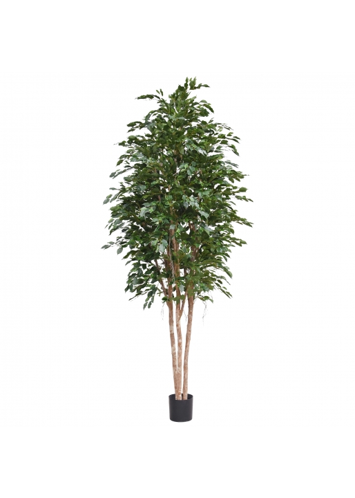 Dieffenbachia Pianta Artificiale 33cm