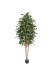 Dieffenbachia Pianta Artificiale 33cm