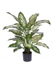 Dieffenbachia Pianta Artificiale Deluxe 60cm
