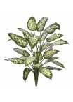 Dieffenbachia Pianta Artificiale Deluxe 60cm in vaso