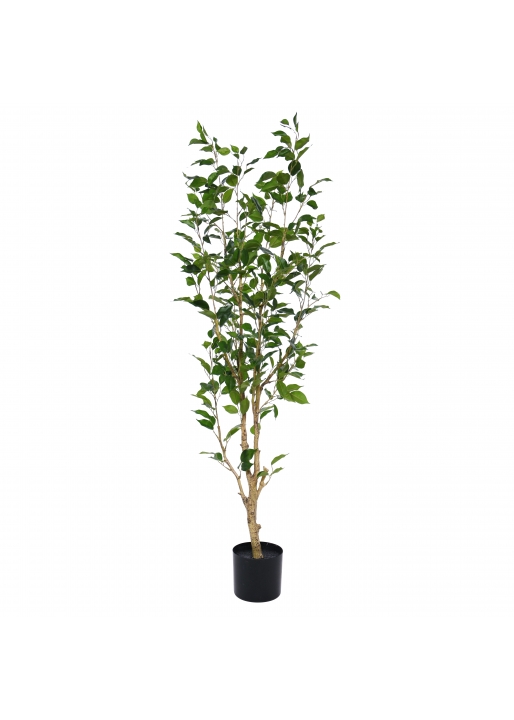Dieffenbachia Pianta Artificiale Deluxe 75cm