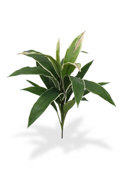 Dracaena Artificiale 60cm - Variegato