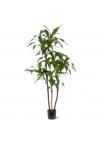 Dracaena Ignifugoagrans Artificiale 125cm