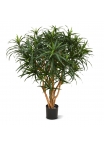 Dracaena Reflexa Anita XL Artificiale 120cm
