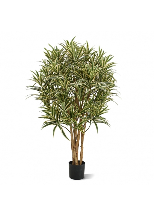 Dracaena Reflexa Artificiale 100cm