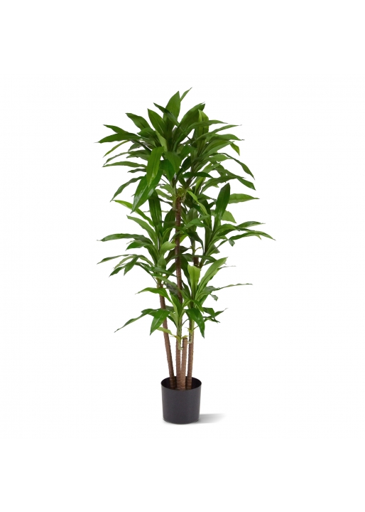 Dracena Ignifugoagrans XL Pianta Artificiale 130cm