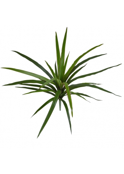 Dracena Marginata Pianta Artificiale 40cm
