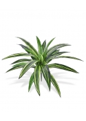Dracena Massangeana Pianta Artificiale 40cm - Verde
