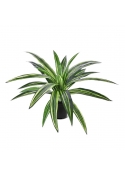 Dracena Massangeana Pianta Artificiale 40cm - Verde