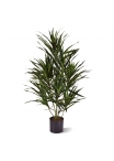 Dracena Reflexa Anita Pianta Artificiale 70cm