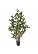 Dracena Surculosa Pianta Artificiale 110cm