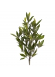 Dracena Surculosa Pianta Artificiale 70cm