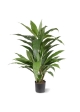 Dracena Verde Pianta Artificiale 80cm