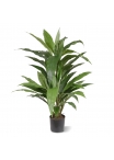 Dracena Verde Pianta Artificiale 80cm