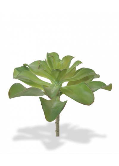 Echeveria Pianta Artificiale 20cm
