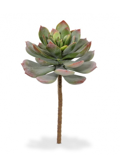 Echeveria Pianta Artificiale 25cm - Verde/Rosso