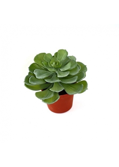 Echeveria Pianta grassa Artificiale 16cm