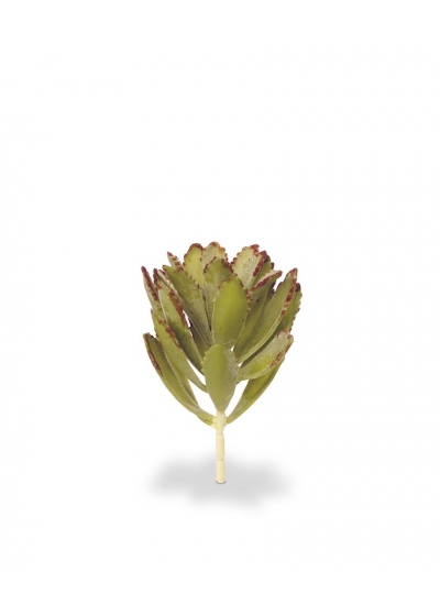 Echeveria Velvet Pianta Artificiale 15cm