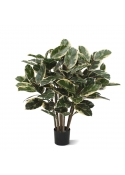 Elastica Robusta Artificiale 100cm