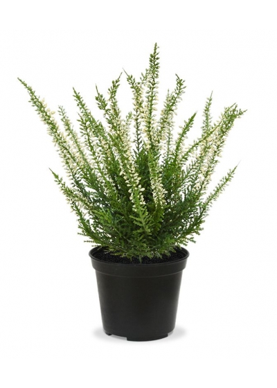Erica calluna Pianta Artificiale 25cm - Crema