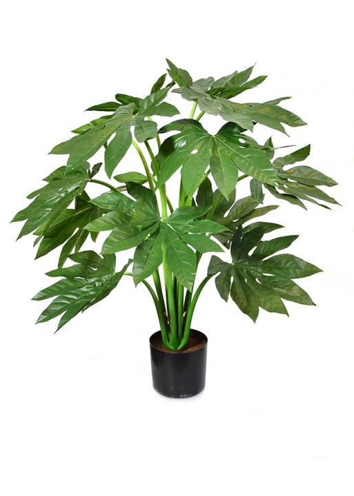 Fatsia Japonica Pianta Artificiale 80cm