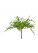 Felce Asparagus Pianta Artificiale 30cm