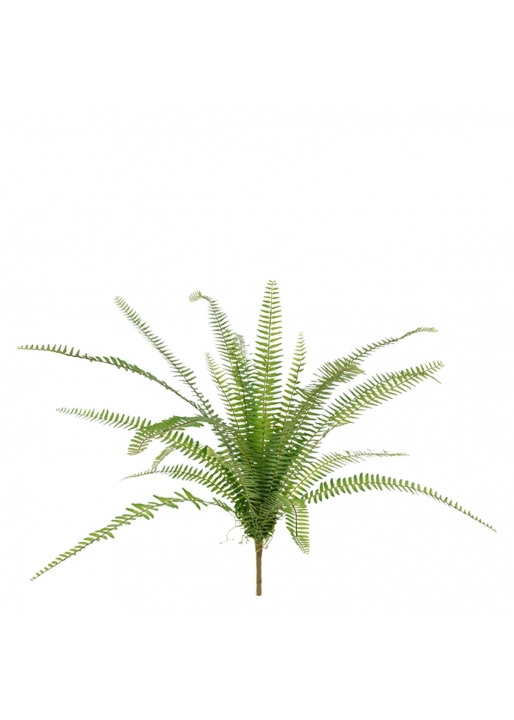 Felce Asplenium Pianta Artificiale 75cm