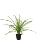 Felce Asplenium Pianta Artificiale 75cm in vaso 12cm