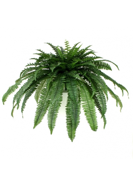 Felce Boston gigante Artificiale D95