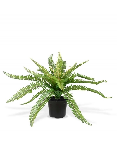 Felce di Boston PL Pianta Artificiale 65cm