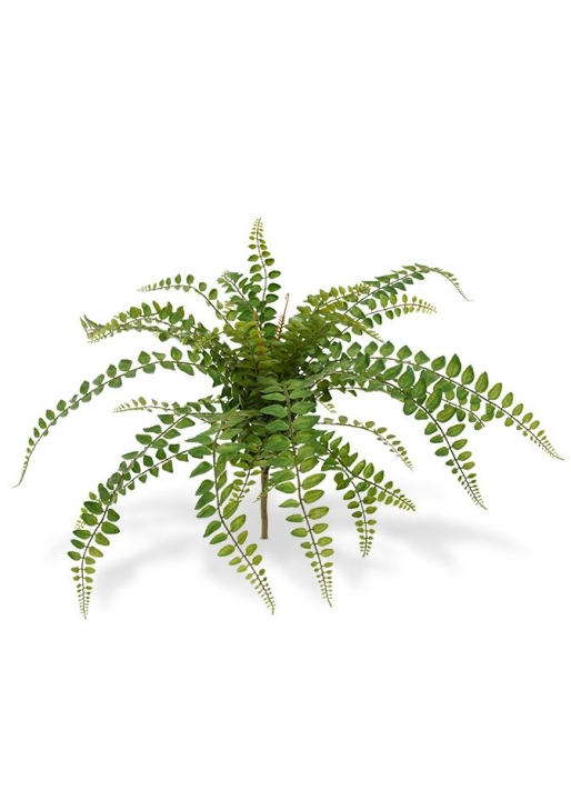 Felce Rotundifolia Pianta Artificiale 55cm