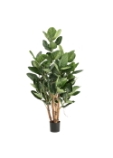 Filodendro Fun Bun Pianta Artificiale Deluxe 80cm